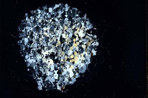 Cross Polarized, S18302