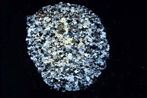 Cross Polarized, S18302/b