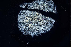 Cross Polarized, S18303