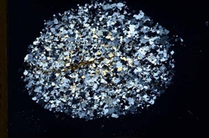 Cross Polarized, S18304