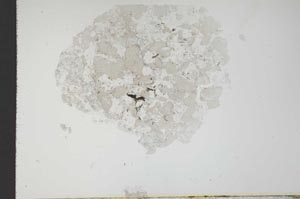 Plane Polarized, S18305