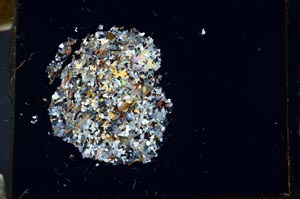 Cross Polarized, S18307