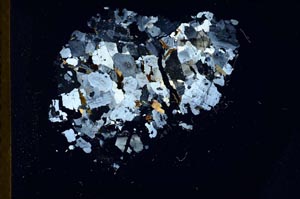 Cross Polarized, S18310