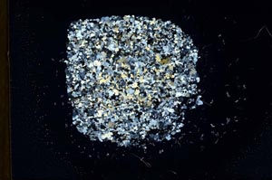 Cross Polarized, S18311