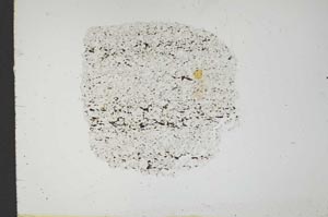 Plane Polarized, S18311