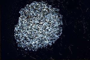 Cross Polarized, S18312