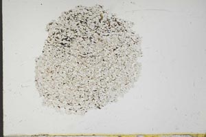 Plane Polarized, S18312