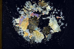 Cross Polarized, S18314