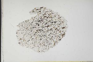 Plane Polarized, S18315