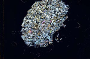 Cross Polarized, S18316