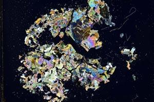 Cross Polarized, S18318