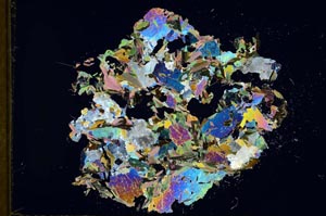 Cross Polarized, S18319