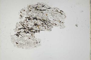 Plane Polarized, S18321