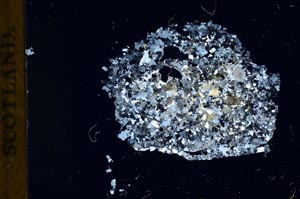 Cross Polarized, S18322