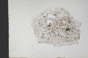 Plane Polarized, S18322