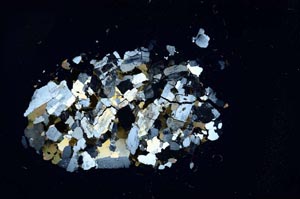 Cross Polarized, S18323