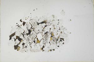 Plane Polarized, S18323