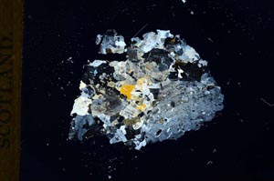 Cross Polarized, S18327