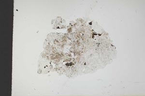 Plane Polarized, S18327