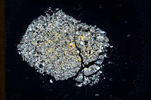 Cross Polarized, S18328