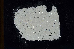 Cross Polarized, S18329