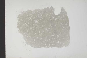 Plane Polarized, S18329