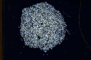 Cross Polarized, S18332