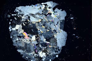 Cross Polarized, S18333