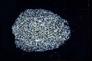 Cross Polarized, S18334