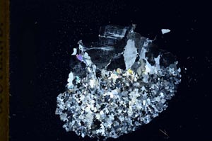 Cross Polarized, S18336