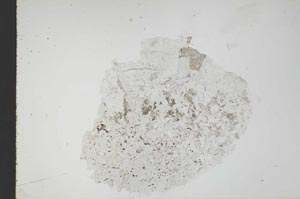 Plane Polarized, S18336