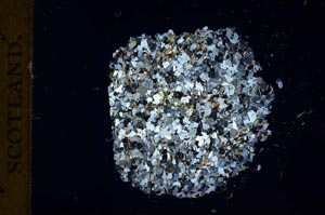 Cross Polarized, S18337