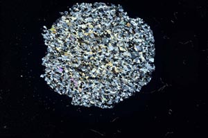 Cross Polarized, S18339