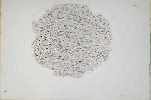 Plane Polarized, S18339