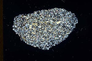 Cross Polarized, S18342