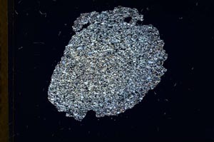 Cross Polarized, S18343