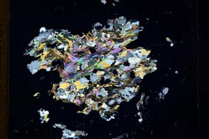 Cross Polarized, S18344