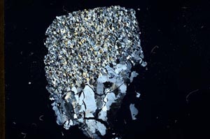 Cross Polarized, S18345