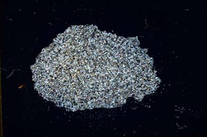 Cross Polarized, S18346/a