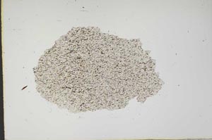 Plane Polarized, S18346/a