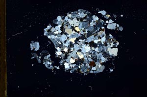 Cross Polarized, S18347