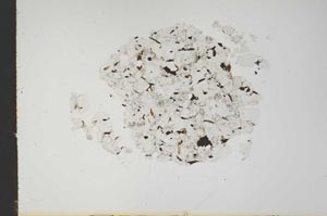 Plane Polarized, S18347