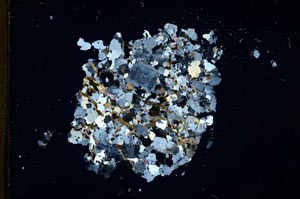 Cross Polarized, S18348