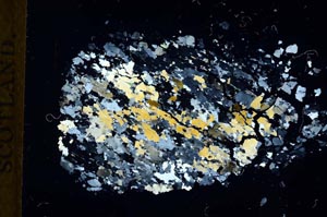 Cross Polarized, S18349