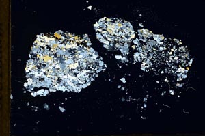 Cross Polarized, S18350