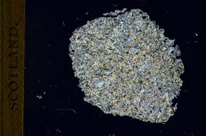 Cross Polarized, S18351