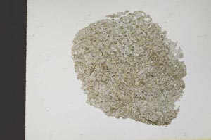 Plane Polarized, S18351