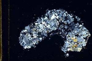 Cross Polarized, S18353