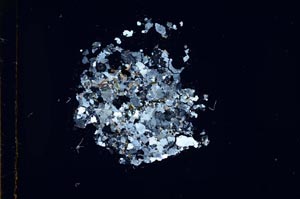 Cross Polarized, S18354