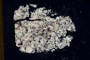 Cross Polarized, S18356